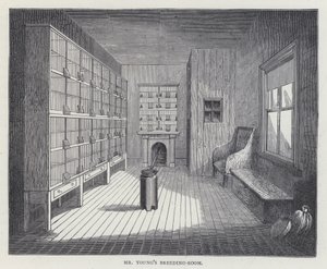 Herr Youngs Zuchtzimmer (Farblithografie)