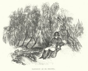 Napoleon auf St. Helena von European School