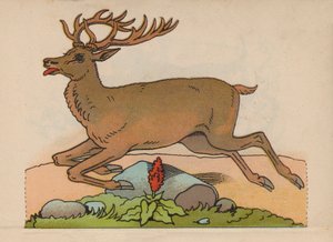Seite aus dem magischen Buch (Farblitho)