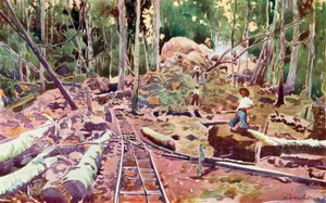 Durchdringen des Amazonaswaldes, Madeira-Mamore Eisenbahn