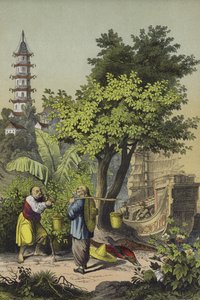 Menschen und Pflanzen Chinas