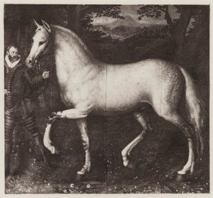 Das Pferd von Königin Elizabeth von European School