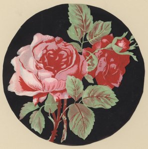 Rose von European School