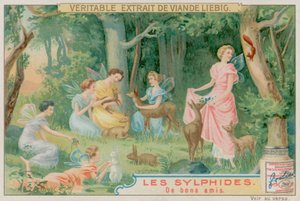 Sylphen und Waldtiere von European School