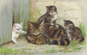 Getigerte Katze mit drei Kätzchen