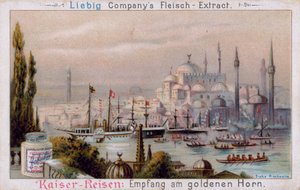Das Goldene Horn in Istanbul von European School