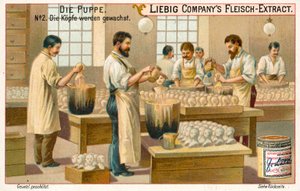 Wachsen von Puppenköpfen von European School
