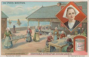 Frauen bereiten Sardinen vor (Chromolithografie)