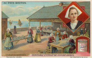 Frauen bereiten Sardinen vor