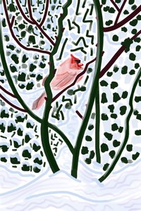 Kardinal im Schnee