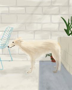 Penny auf der Hinterveranda, 2017