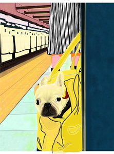 U-Bahn-Pendler mit Hund in Tasche, Brooklyn