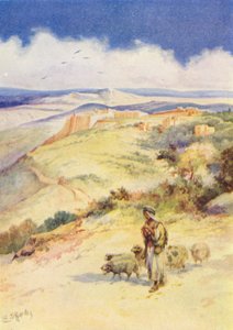 David der Hirtenjunge von Evelyn Stuart Hardy