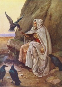Die Vögel, die ihr Essen teilten