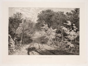 Borrevejle Wald von F. Larsen