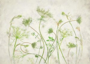 Weiche grüne Botanicals