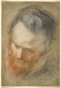 Kopf eines bärtigen Mannes von Federico Barocci