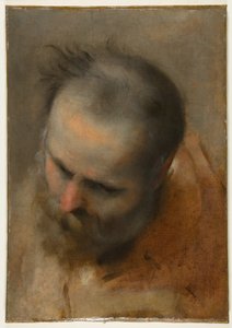Kopf eines bärtigen Mannes, der nach links unten schaut (Nikodemus) von Federico Barocci