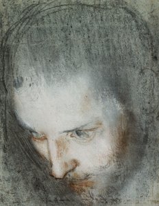 Kopf des Heiligen Franziskus, nach oben links blickend