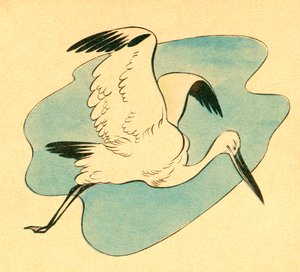 Farbige Illustration von Federico Ribas Montenegro