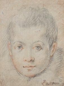 Kopf eines Jungen von Federico Zuccaro