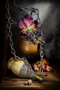 Herbstwein Stillleben von Felice Angelino