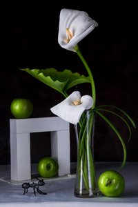 Calla-Lilien Grüne Äpfel
