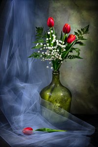 Elegante Tulpen im Glas