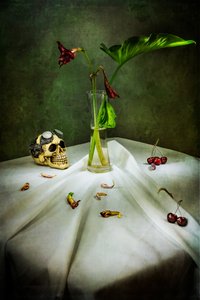 Gotischer Schädel-Vanitas