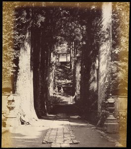 Allee von Bäumen, die zu einem Tempel in Hakoni führen von Felice Beato