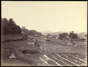 Fujiyama von der Neuen Straße von Felice Beato
