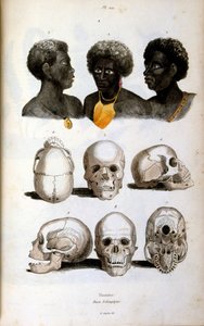 Anthropologische Illustration der äthiopischen Rasse