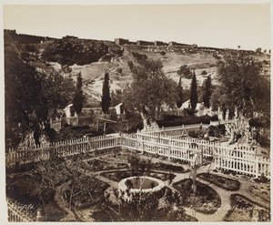 Garten von Gethsemane #303