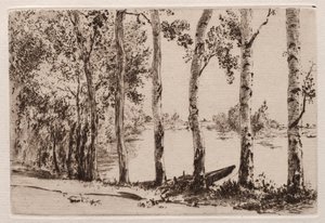 Espen am Ufer der Seine