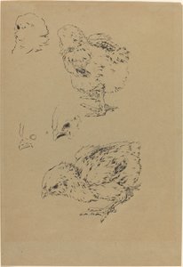 Küken von Felix Bracquemond