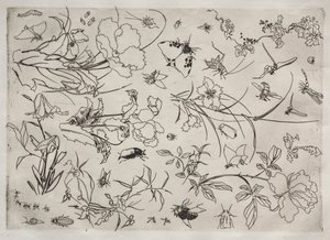 Tafelservice (Rousseau-Service): Blumen und Insekten (Nr. 15)