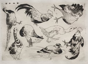 Tafelservice (Rousseau-Service): Hähne, Enten usw. (Nr. 13) von Felix Bracquemond