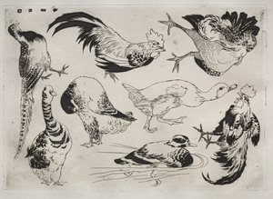 Tafelservice Rousseau: Hähne, Enten usw. Nr. 13, 1866 von Felix Bracquemond