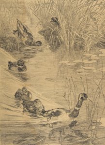 Entenvergnügen, 1850-1914