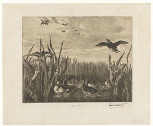 Landschaft mit Enten im Wasser zwischen Schilf