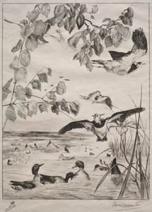 Kiebitze und Krickenten, 1862