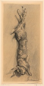 Der Wildkaninchen von Felix Bracquemond