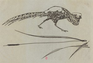Fasan von Felix Bracquemond