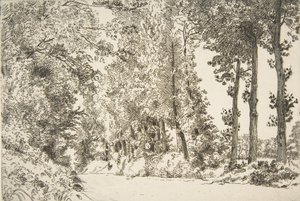 Rue des Bruyères, in Sèvres, 1868