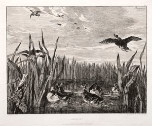 Kricker, 1853 gedruckt 1864