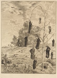 Die Maulwürfe (Les taupes) von Felix Bracquemond