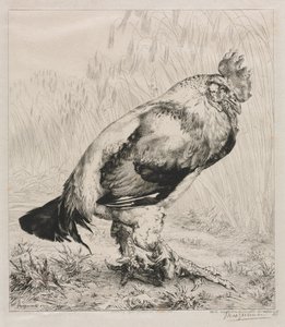 Der alte Hahn, 1882