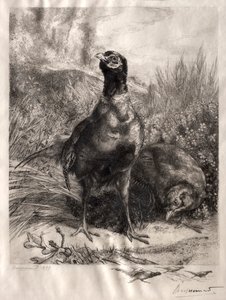 Die Fasane von Felix Bracquemond