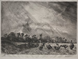 Die Sturmwolke