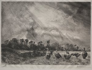 Die Sturmwolke, 1878-1887
